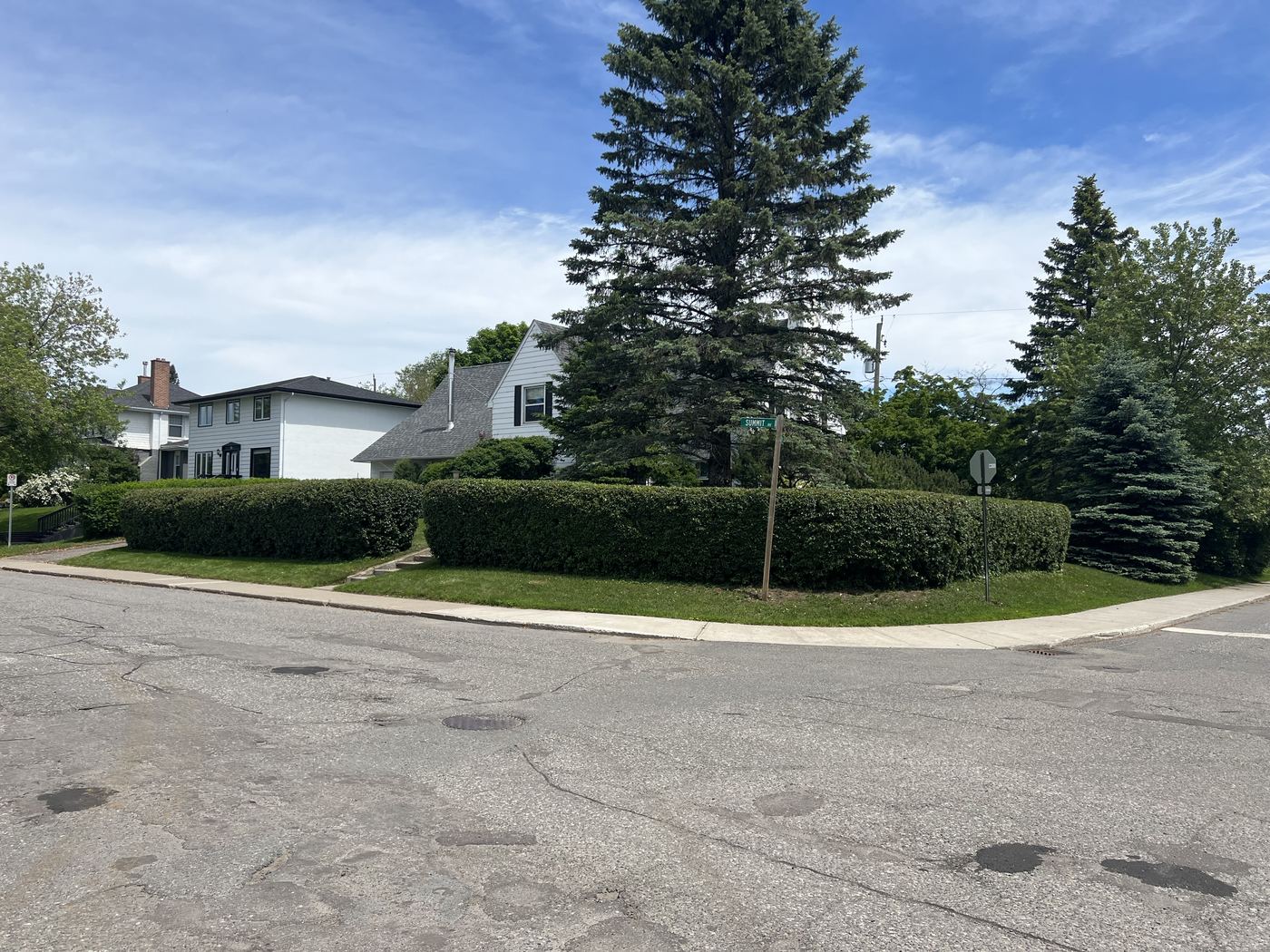 Neatly trimmed hedge row along a Thunder Bay property