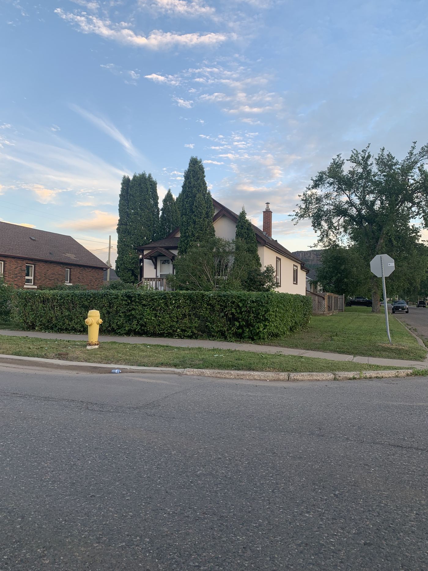 Hedge shaping and trimming work in Thunder Bay by Duchesne's Services