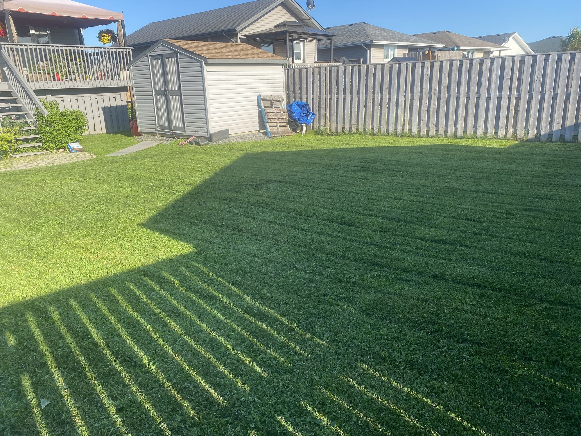 A privacy wood fence along a freshly mowed Thunder Bay backyard